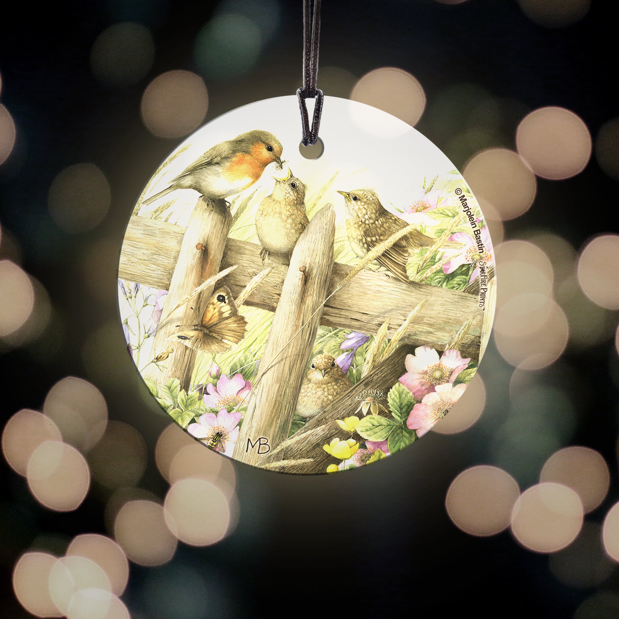 Marjolein Bastin (Baby Birds) StarFire Prints™ Hanging Glass Print SPCIR676